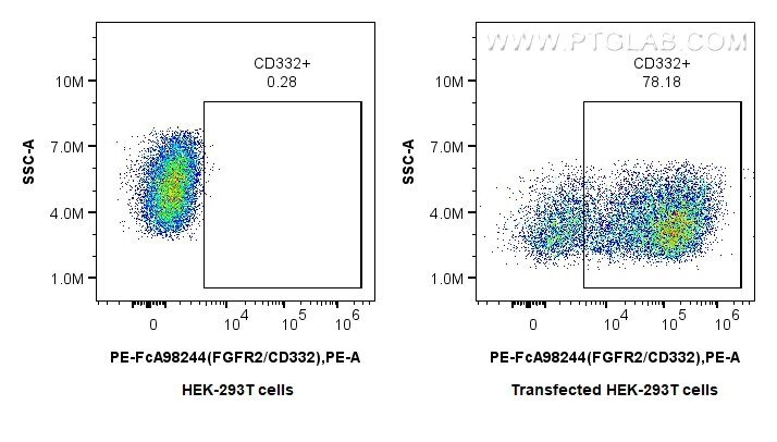 FC experiment of Transfected HEK-293T using PE-FcA98244 Flow cytometry (FC) experiment of Transfected HEK-293T cells using FcZero-rAb® PE Anti-Human FGFR2/CD332 Rabbit Recom (PE-FcA98244)