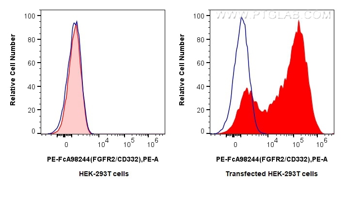 FC experiment of Transfected HEK-293T using PE-FcA98244 Flow cytometry (FC) experiment of Transfected HEK-293T cells using FcZero-rAb® PE Anti-Human FGFR2/CD332 Rabbit Recom (PE-FcA98244)