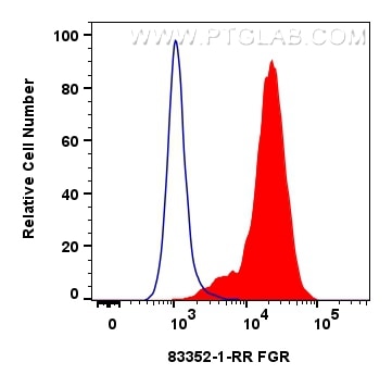 Flow cytometry (FC) experiment of Raji cells using FGR Recombinant antibody (83352-1-RR)
