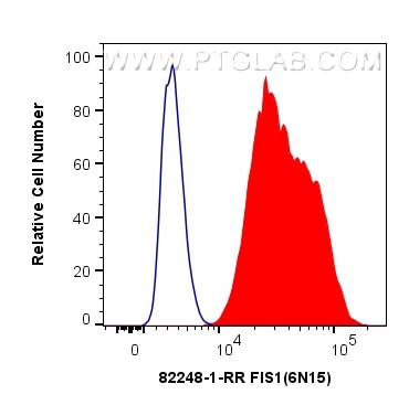 Flow cytometry (FC) experiment of HepG2 cells using FIS1 Recombinant antibody (82248-1-RR)