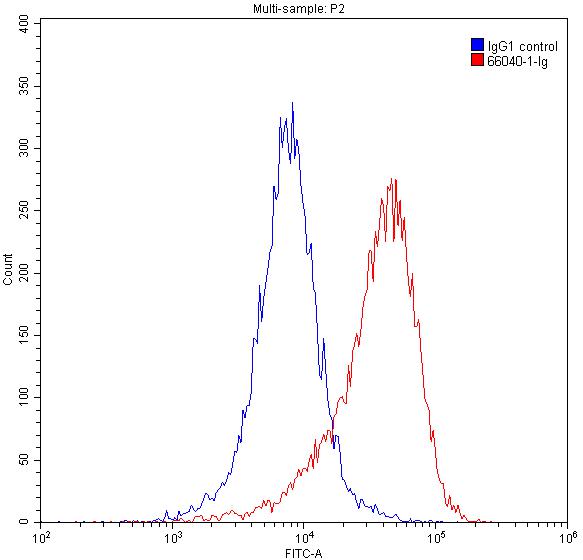 Flow cytometry (FC) experiment of Jurkat cells using FKBP52 Monoclonal antibody (66040-1-Ig)