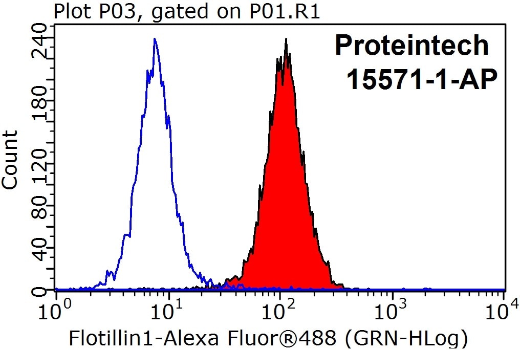 FC experiment of HeLa using 15571-1-AP