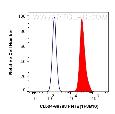 Flow cytometry (FC) experiment of A431 cells using CoraLite®594-conjugated FNTB Monoclonal antibody (CL594-66783)