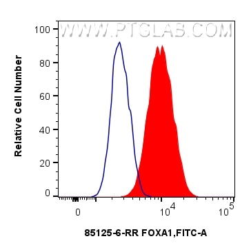 1x10^6 HepG2 cells were intracellularly stained with 0.25 ug FOXA1 Recombinant monoclonal antibody (85125-6-RR, Clone:242658F9) and CoraLite®488-Conjugated Goat Anti-Rabbit IgG(H+L) (SA00013-2)(red),  or 0.25 ug Rabbit IgG Isotype Control RecAb (98136-1-RR, Clone: 240953C9) (blue). Cells were fixed and permeabilized with Transcription Factor Staining Buffer Kit (PF00011). Flow cytometry (FC) experiment of HepG2 cells using FOXA1 Recombinant monoclonal antibody (85125-6-RR)