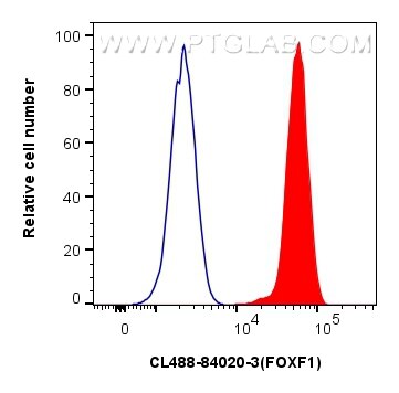 Flow cytometry (FC) experiment of HeLa cells using CoraLite® Plus 488-conjugated FOXF1 Recombinant an (CL488-84020-3)
