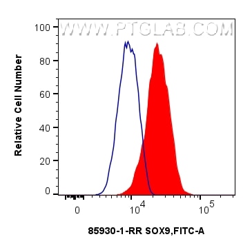 Flow cytometry (FC) experiment of U251 using FOXG1 Recombinant monoclonal antibody (85930-1-RR)