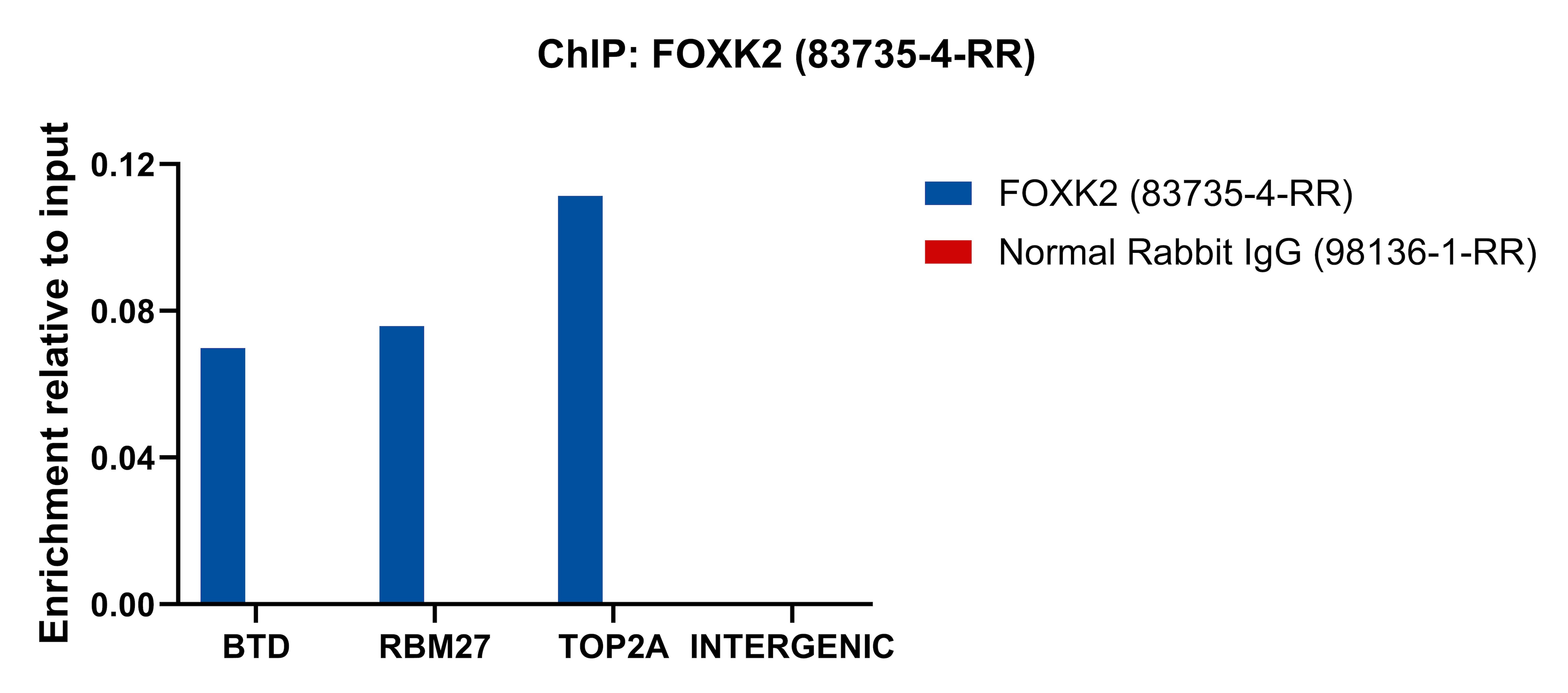 ChIP experiment of HepG2 cells using FOXK2 Recombinant antibody (83735-4-RR)