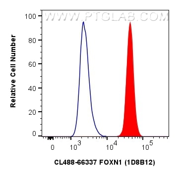 Flow cytometry (FC) experiment of A549 cells using CoraLite® Plus 488-conjugated FOXN1 Monoclonal ant (CL488-66337)