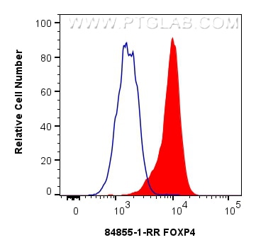 Flow cytometry (FC) experiment of HepG2 cells using FOXP4 Recombinant antibody (84855-1-RR)