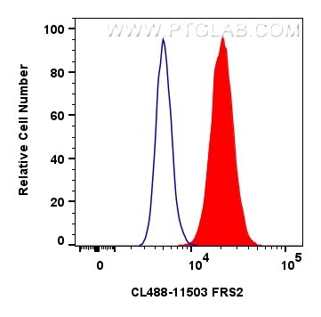Flow cytometry (FC) experiment of MCF-7 cells using CoraLite® Plus 488-conjugated FRS2 Polyclonal anti (CL488-11503)