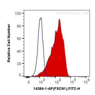 Flow cytometry (FC) experiment of SH-SY5Y cells using Fascin Polyclonal antibody (14384-1-AP)
