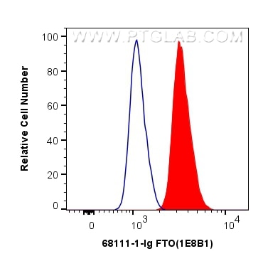 Flow cytometry (FC) experiment of SH-SY5Y cells using FTO Monoclonal antibody (68111-1-Ig)