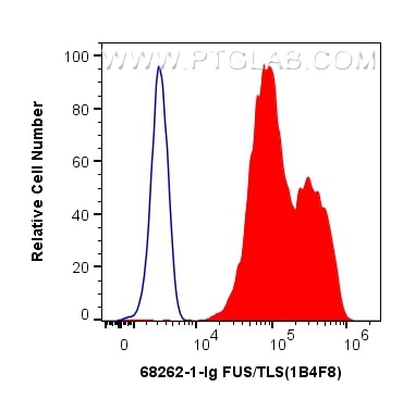 FC experiment of HEK-293T using 68262-1-Ig