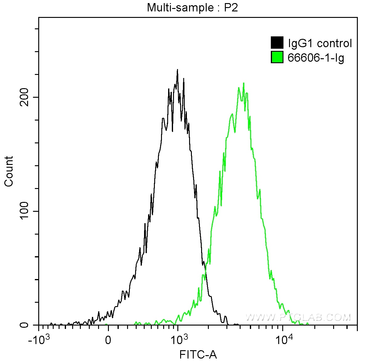 Flow cytometry (FC) experiment of HeLa cells using FYN Monoclonal antibody (66606-1-Ig)