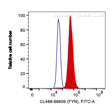 Flow cytometry (FC) experiment of HeLa cells using CoraLite® Plus 488-conjugated FYN Monoclonal antib (CL488-66606)