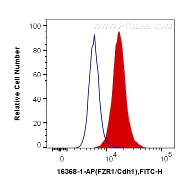 Flow cytometry (FC) experiment of HeLa cells using FZR1/Cdh1 Polyclonal antibody (16368-1-AP)