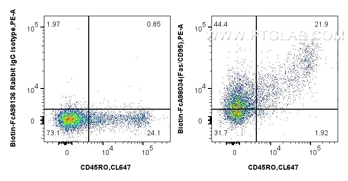 1x10^6 human PBMCs were surface stained with 0.25 ug Biotin Anti-Human Fas/CD95 Rabbit RecAb (Biotin-FcA98034, Clone: 240340E11) and PE Streptavidin (Cat.No. PF00021), or FcZero-rAb™ Biotin Rabbit IgG Isotype Control Recombinant Antibody (Biotin-FcA98136, Clone: 240953C9) and PE Streptavidin(Cat.No. PF00021). Cells were co-stained with CoraLite® Plus 647 Anti-Human CD45RO (UCHL1) (CL647-65150, Clone: UCHL1). Cells were not fixed. Lymphocytes were gated. Flow cytometry (FC) experiment of human PBMCs using FcZero-rAb™ Biotin Anti-Human Fas/CD95 Rabbit Reco (Biotin-FcA98034)