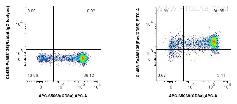 FC experiment of mouse thymocytes using CL488-FcA98135 Flow cytometry (FC) experiment of mouse thymocytes using FcZero-rAb™ CoraLite® Plus 488 Anti-Mouse Fas/CD95 (CL488-FcA98135)