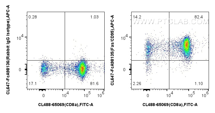 FC experiment of mouse thymocytes using CL647-FcA98135 Flow cytometry (FC) experiment of mouse thymocytes using FcZero-rAb® CoraLite® Plus 647 Anti-Mouse Fas/CD95 (CL647-FcA98135)