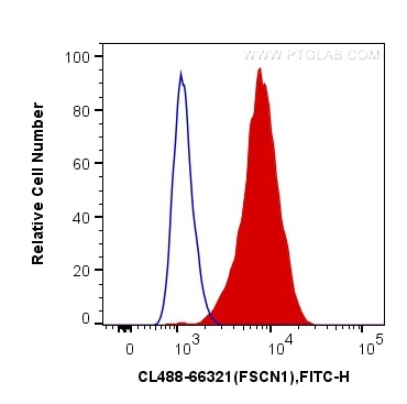 Flow cytometry (FC) experiment of SH-SY5Y cells using CoraLite® Plus 488-conjugated Fascin Monoclonal an (CL488-66321)