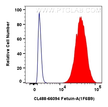 Flow cytometry (FC) experiment of HepG2 cells using CoraLite® Plus 488-conjugated Fetuin-A Monoclonal  (CL488-66094)