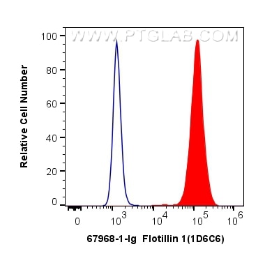Flow cytometry (FC) experiment of Raji cells using Flotillin 1 Monoclonal antibody (67968-1-Ig)
