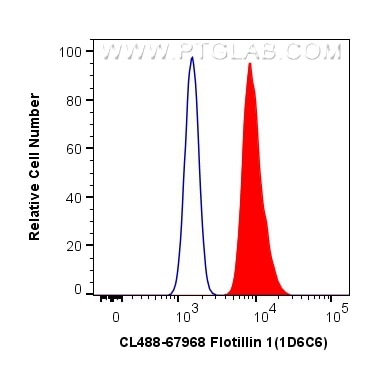 Flow cytometry (FC) experiment of Raji cells using CoraLite® Plus 488-conjugated Flotillin 1 Monoclon (CL488-67968)