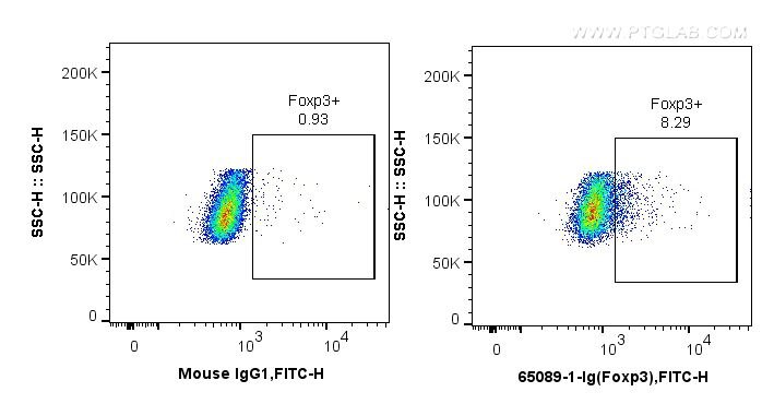 Flow cytometry (FC) experiment of mouse splenocytes using Anti-Mouse Foxp3 (3G3) (65089-1-Ig)