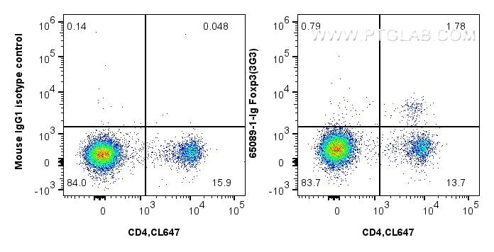 Flow cytometry (FC) experiment of C57BL/c mouse splenocytes using Anti-Mouse Foxp3 (3G3) (65089-1-Ig)
