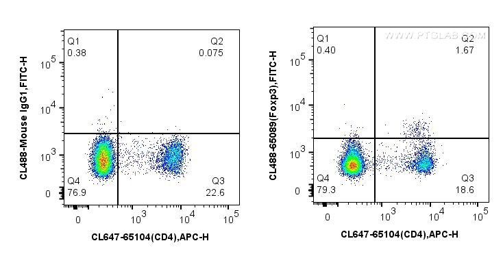 Flow cytometry (FC) experiment of mouse splenocytes using CoraLite® Plus 488 Anti-Mouse Foxp3 (3G3) (CL488-65089)
