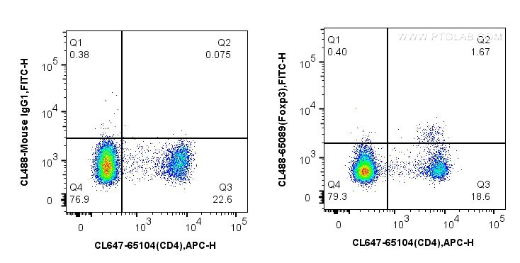 Flow cytometry (FC) experiment of mouse splenocytes using CoraLite® Plus 488 Anti-Mouse Foxp3 (3G3) (CL488-65089)