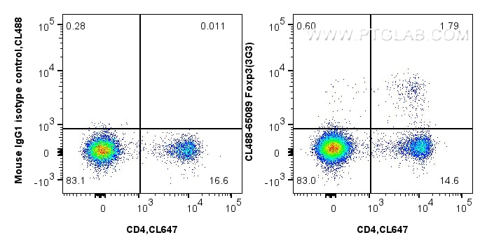 Flow cytometry (FC) experiment of mouse splenocytes using CoraLite® Plus 488 Anti-Mouse Foxp3 (3G3) (CL488-65089)