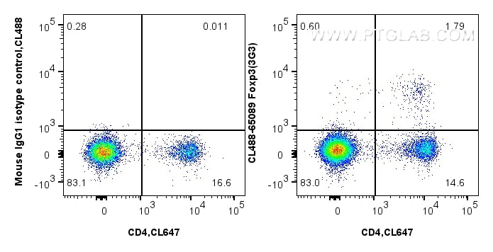 FC experiment of mouse splenocytes using CL488-65089