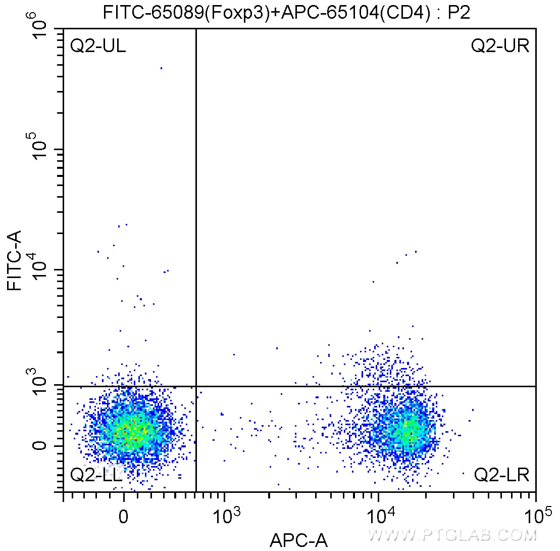 Flow cytometry (FC) experiment of mouse splenocytes using FITC Anti-Mouse Foxp3 (3G3) (FITC-65089)