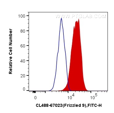 Flow cytometry (FC) experiment of HeLa cells using CoraLite® Plus 488-conjugated Frizzled 9 Monoclona (CL488-67023)