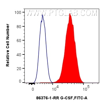 1x10^6 K-562 cells were intracellularly stained with 0.25 ug G-CSF Recombinant antibody (86376-1-RR, Clone:250389H1) and CoraLite®488-Conjugated Goat Anti-Rabbit IgG(H+L) (SA00013-2)(red), or 0.25 ug Rabbit IgG Isotype Control RecAb (98136-1-RR, Clone: 240953C9) (blue). Cells were fixed with 4% PFA and permeabilized with Flow Cytometry Perm Buffer. Flow cytometry (FC) experiment of K-562 cells using G-CSF Recombinant antibody (86376-1-RR)
