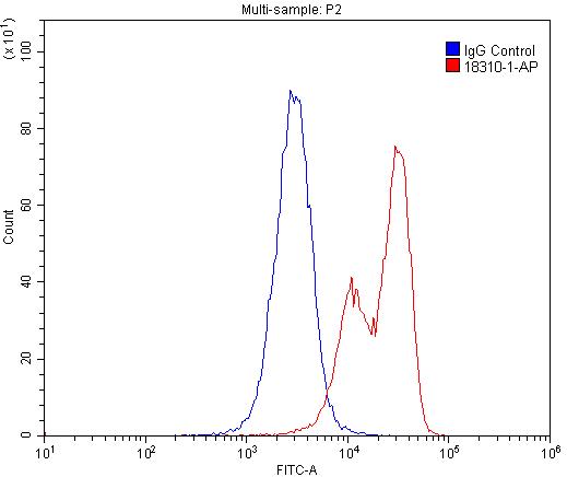 FC experiment of U-937 using 18310-1-AP