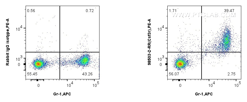 1x10^6 mouse bone marrow cells were surface stained with 0.25 ug Anti-Mouse G-CSFR Rabbit RecAb (98503-2-RR, Clone: 250343C6) or 0.25 ug Rabbit IgG Isotype Control RecAb (98136-1-RR, Clone: 240953C9), and PE-conjugated Goat Anti-Rabbit IgG. Cells were then stained with APC Anti-Mouse Ly-6G/Ly-6C (Gr-1). Cells were not fixed. This data was developed using the same antibody clone with 98503-2-PBS in a different storage buffer formulation. Flow cytometry (FC) experiment of mouse bone marrow cells using Anti-Mouse G-CSFR Rabbit Recombinant Antibody (98503-2-RR)