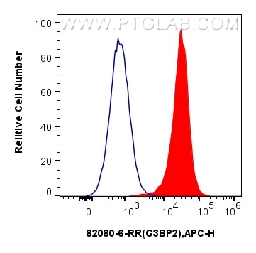 Flow cytometry (FC) experiment of U2OS cells using G3BP2 Recombinant antibody (82080-6-RR)