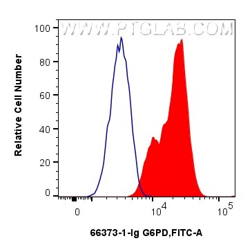 FC experiment of Jurkat using 66373-1-Ig Flow cytometry (FC) experiment of Jurkat cells using G6PD Monoclonal antibody (66373-1-Ig)