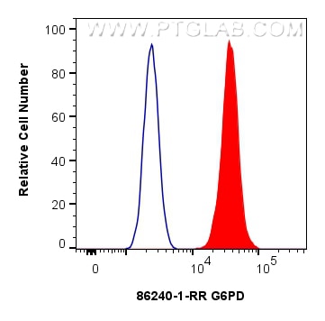 Flow cytometry (FC) experiment of HeLa cells using G6PD Recombinant monoclonal antibody (86240-1-RR)