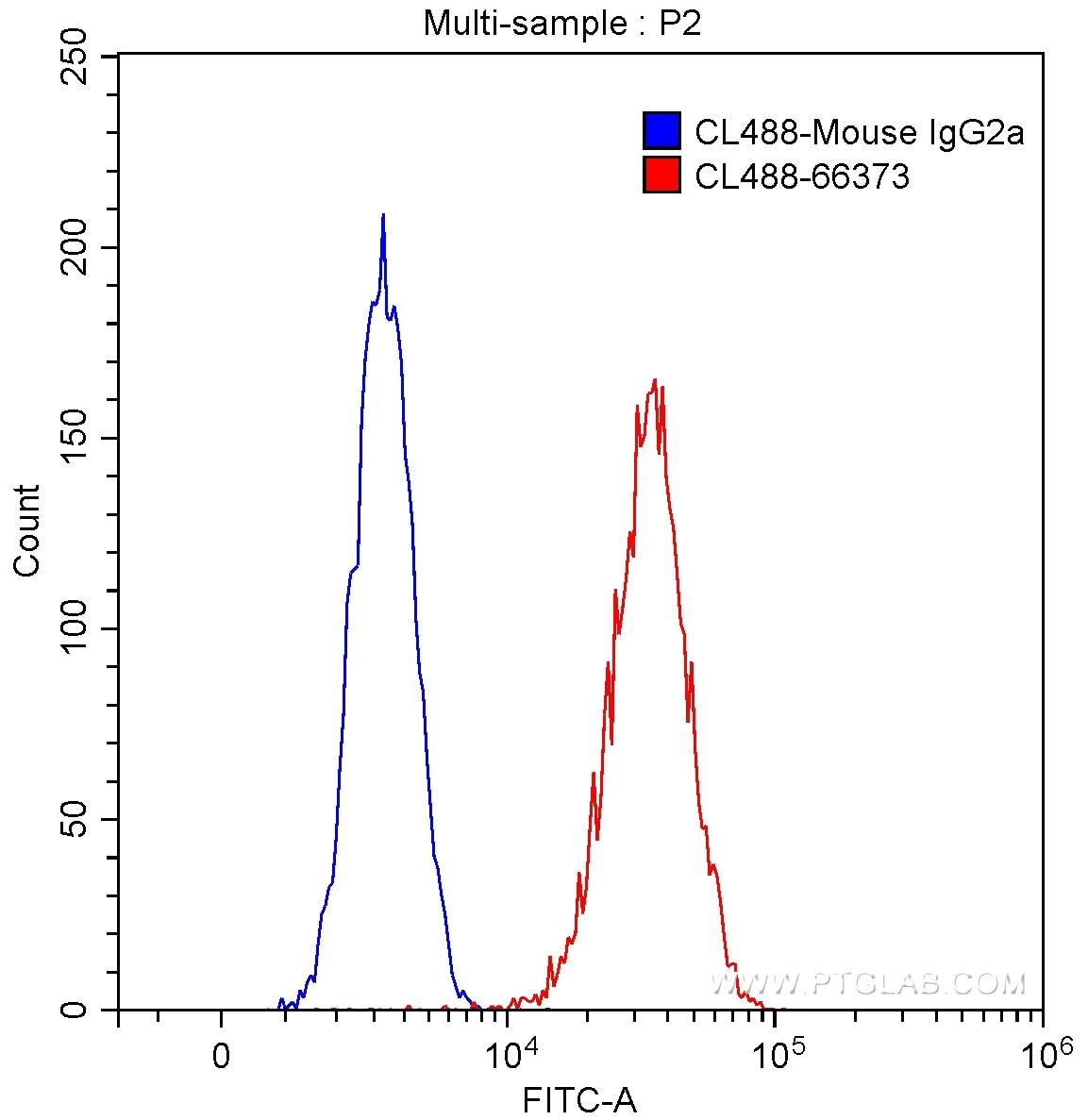Flow cytometry (FC) experiment of HeLa cells using CoraLite® Plus 488-conjugated G6PD Monoclonal anti (CL488-66373)