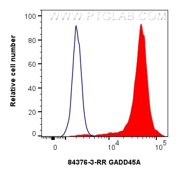 Flow cytometry (FC) experiment of K-562 cells using GADD45A Recombinant antibody (84376-3-RR)