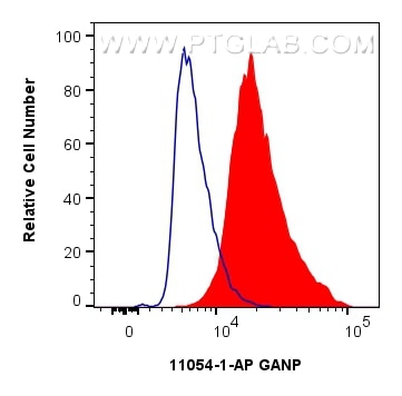 Flow cytometry (FC) experiment of HepG2 cells using GANP Polyclonal antibody (11054-1-AP)