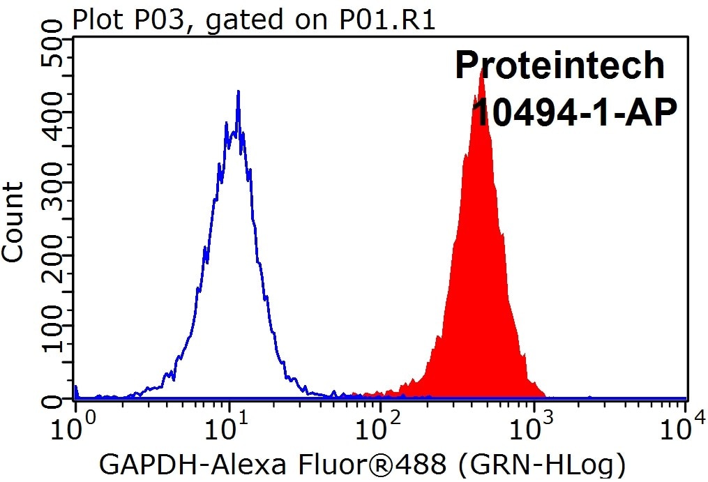 Flow cytometry (FC) experiment of HEK-293 cells using GAPDH Polyclonal antibody (10494-1-AP)