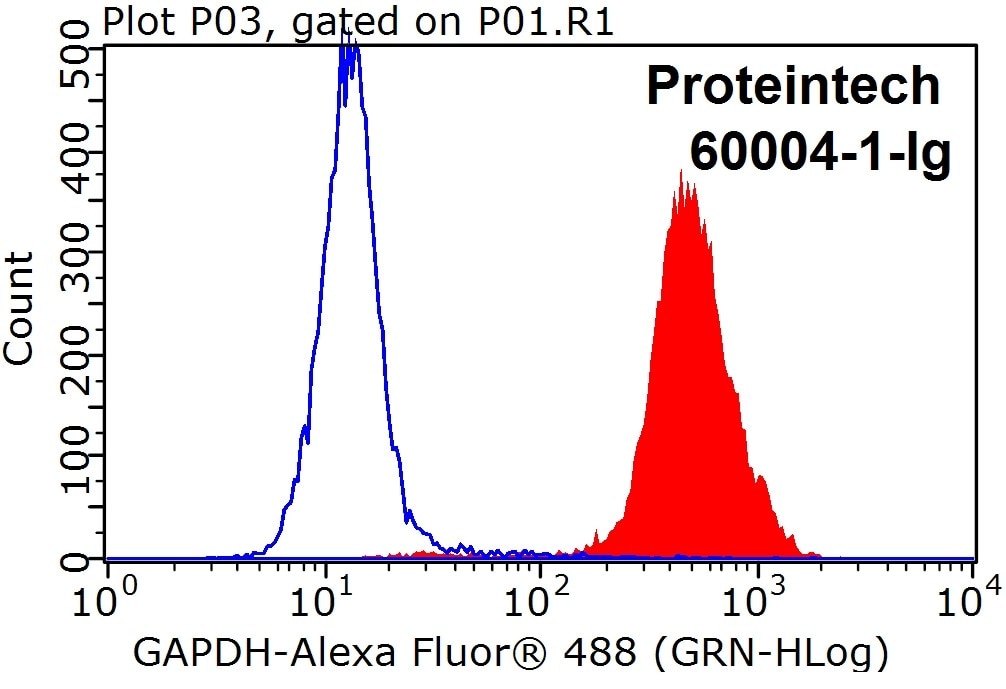 Flow cytometry (FC) experiment of HeLa cells using GAPDH Monoclonal antibody (60004-1-Ig)