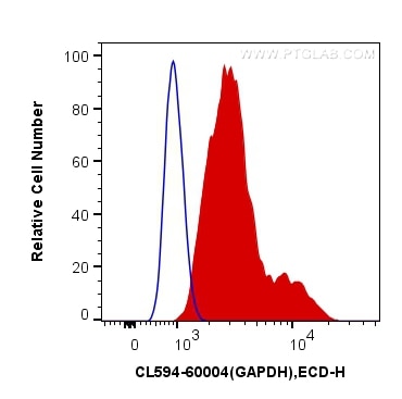 Flow cytometry (FC) experiment of HeLa cells using CoraLite®594-conjugated GAPDH Monoclonal antibody (CL594-60004)