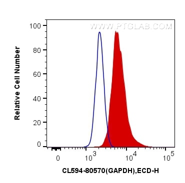 Flow cytometry (FC) experiment of HeLa cells using CoraLite®594-conjugated GAPDH (Human Specific) Rec (CL594-80570)