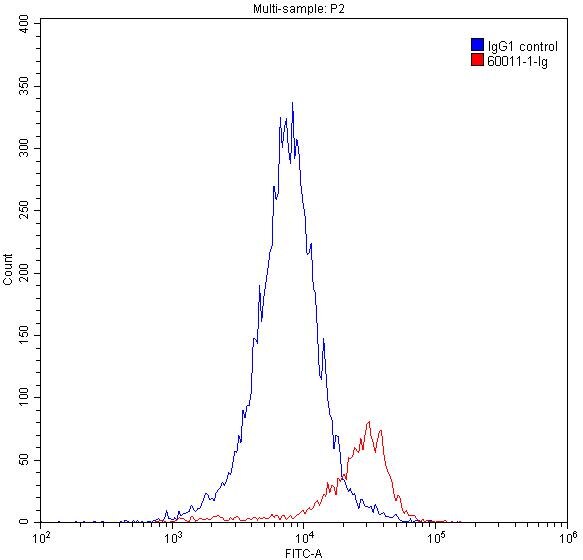 Flow cytometry (FC) experiment of Jurkat cells using GATA1 Monoclonal antibody (60011-1-Ig)