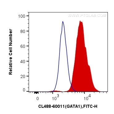 Flow cytometry (FC) experiment of Jurkat cells using CoraLite® Plus 488-conjugated GATA1 Monoclonal ant (CL488-60011)